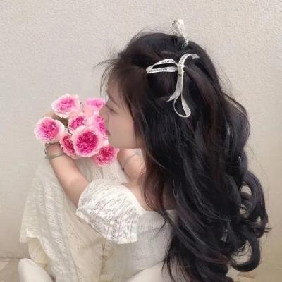 风流儍侠