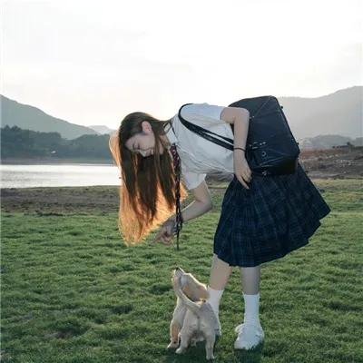 春潮烂漫海棠红